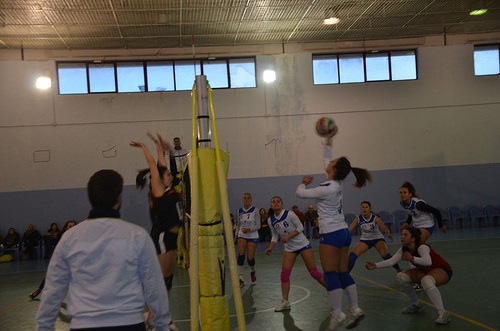 2016-03-12 - SDF - Axa Lanni Venafro Volley vs Fisiopro Nuova Pallavolo Campobasso foto1