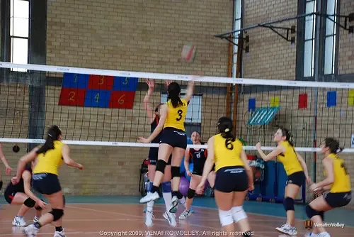 2010 – foto 6