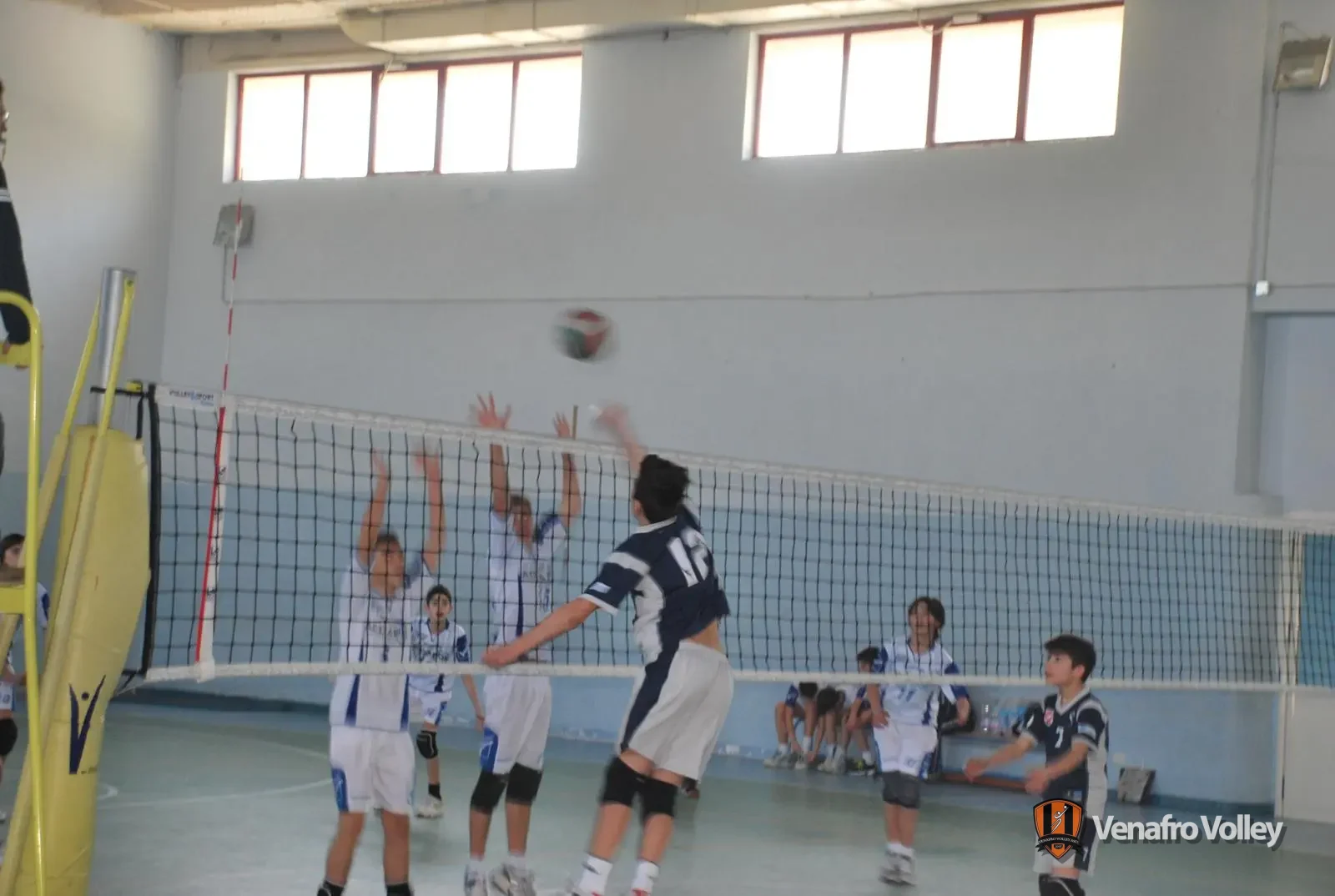 Le foto: U14M - Venafro Volley, Fenice Is Volley, Termoli Pallavolo